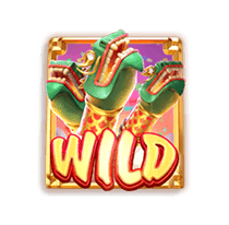 wild fireworks ดอกไม้ไฟไวลด์