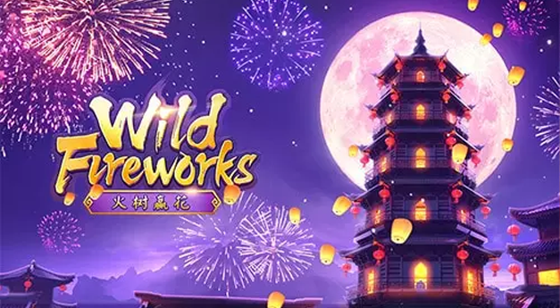 wild fireworks ดอกไม้ไฟไวลด์