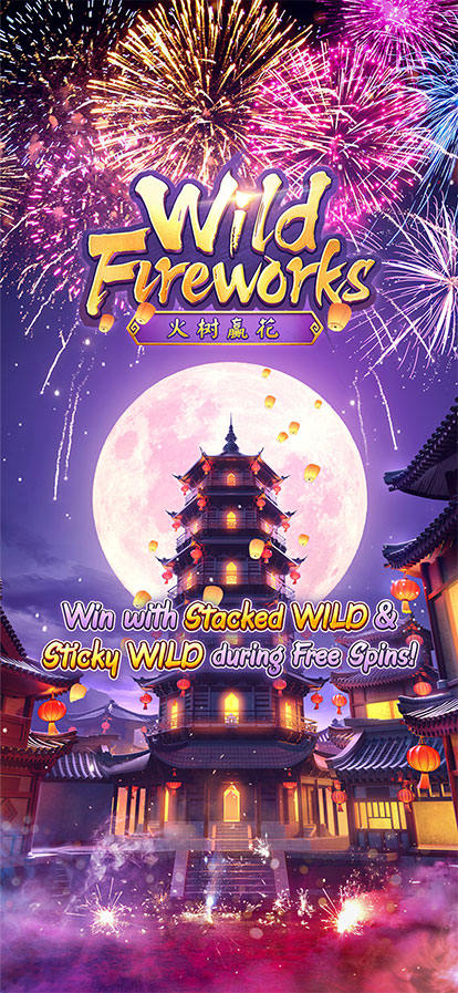 wild fireworks ดอกไม้ไฟไวลด์