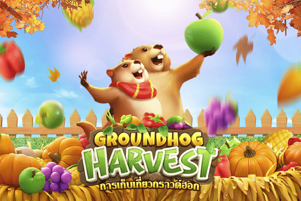 Groundhog-Harvest